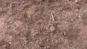 690x390cc-srnk-22-02-2025-silopi-olu-bebek-bulundu