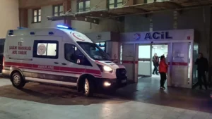 acil-8