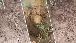 690x390cc-amd-17-05-2025-licede-bulunan-kemik-kesif