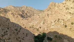 690x390cc-mrd-26-06-2025-sirnexte-ozel-guvenlik