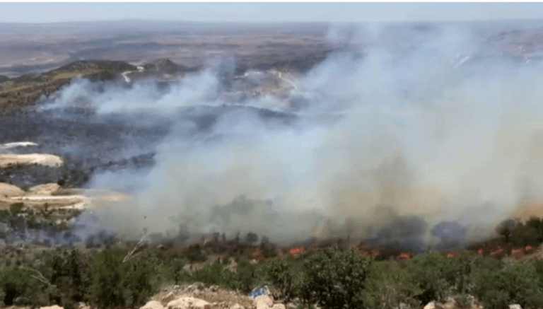 Ekran görüntüsü 2025-07-04 143617