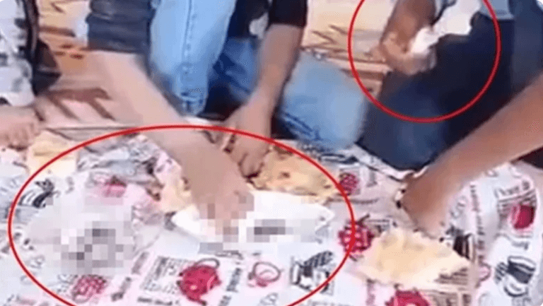 diyarbakır hayvan dışkısı