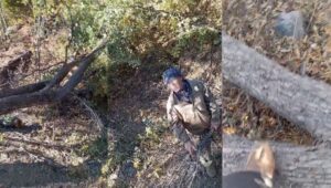 690x390cc-srnk-02-11-2025-besta-agac-katliami-yeni-1