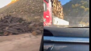 690x390cc-srnk-06-11-2025-gabar-agac-kiyimi