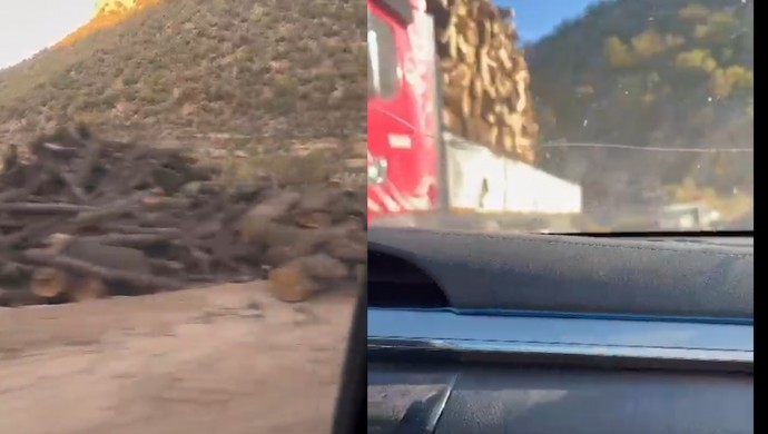 690x390cc-srnk-06-11-2025-gabar-agac-kiyimi