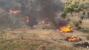 Nijerya’da DAİŞ ve Boko Haram çatışması