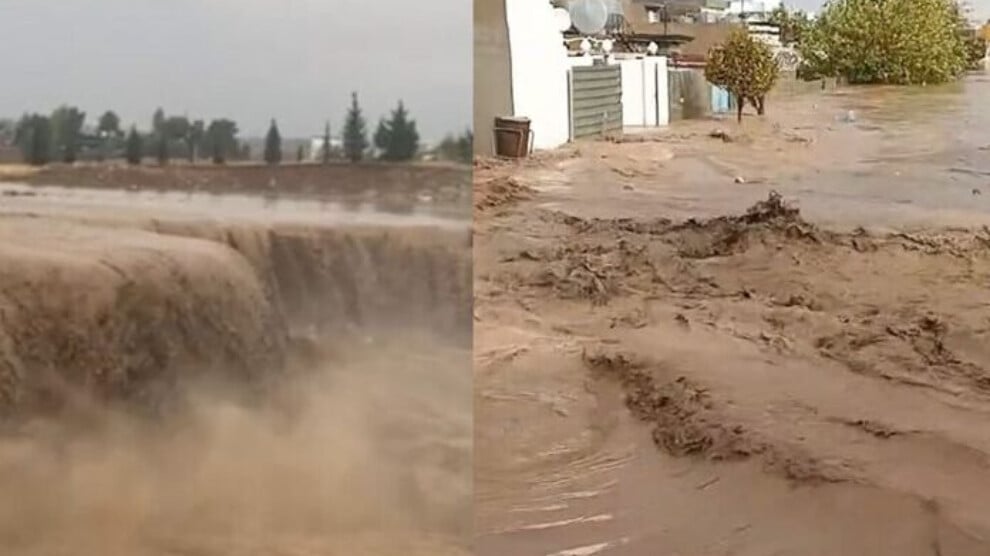 20251211-x444-696x437-jpg-pagespeed-ic-lsvqvdpbfr-696x430-1-jpg17ddb3-image