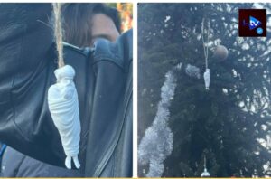 600974427_816018907929408_6591191039578687733_n