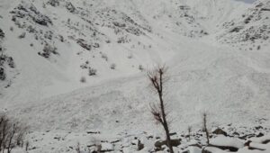 690x390cc-v-02-01-2026-colemerg-cig-dustu