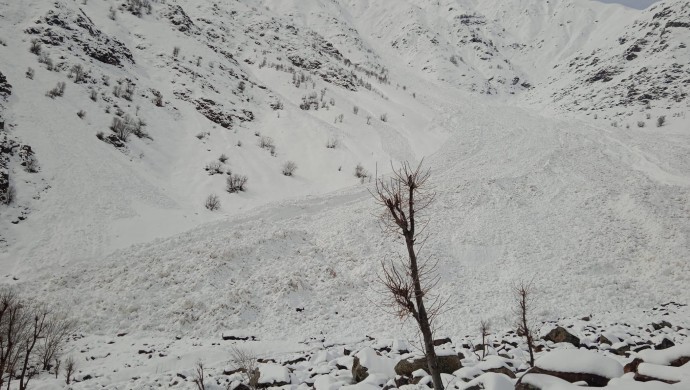 690x390cc-v-02-01-2026-colemerg-cig-dustu