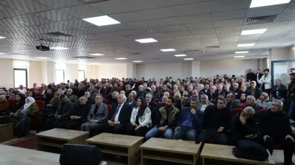 20260223-zjhh3bsx-jpegd0ff77-image