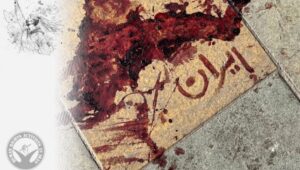 690x390cc-mrzk-02-02-2026-hrana-raporu-36