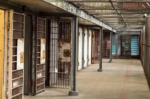 690x390cc-mus-18-02-2026-kurt-aktivistler-muhammed-kerimhani-iran-cezaevleri-