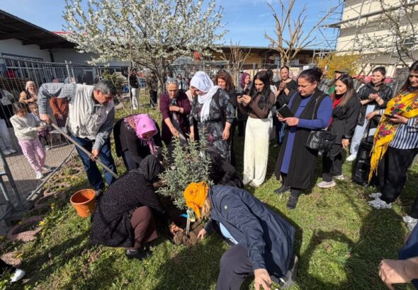 20260406-img-20260406-wa0014-jpga1ddce-image