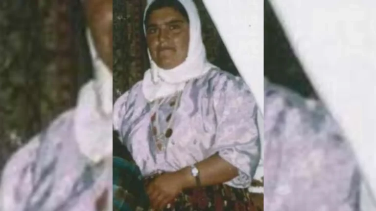 Almanya’da 1993 yılında kaybolan Azime Şişek dosyası, yaklaşık 33 yıl sonra yeniden gündeme taşındı
