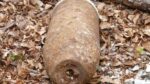20260517-almanya-ikinci-dunya-savasi-bomba-webpeafdc8-image