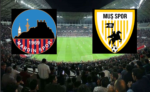 Mardinspor Muşspor